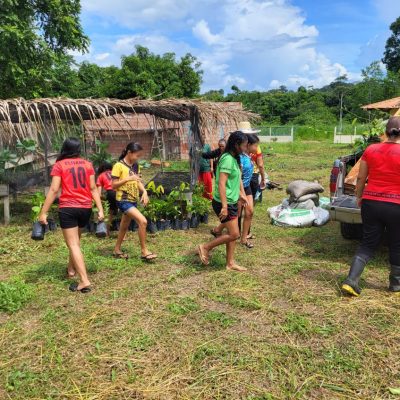 feb14-2025_acaizal-1